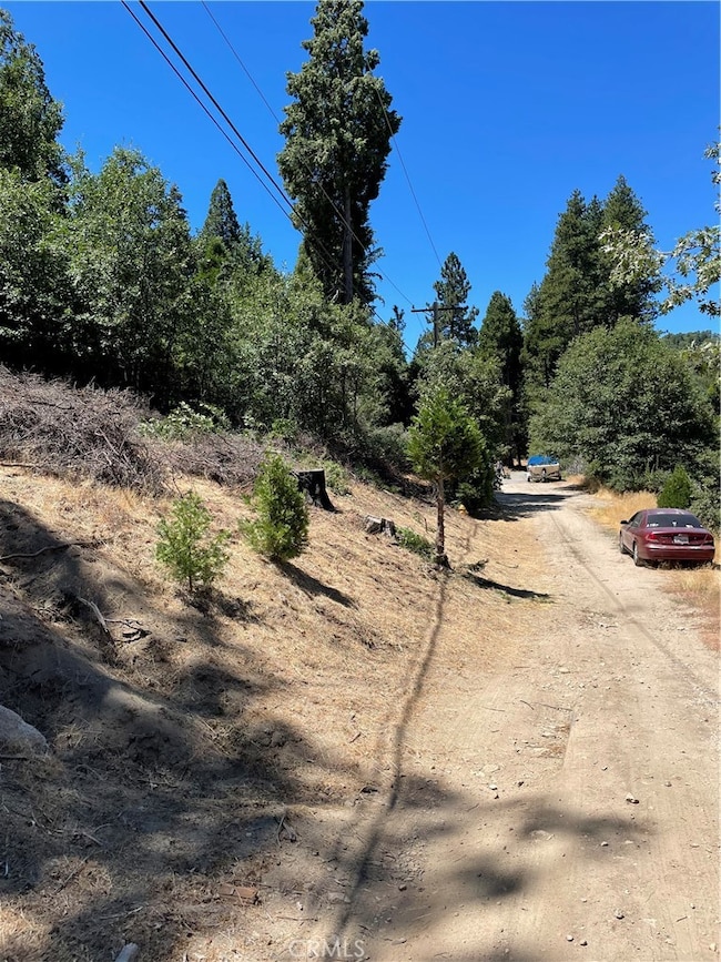 29834 Juniper Dr, Cedar Glen, CA 92321 - photo 6