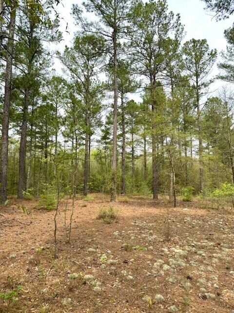 2150 Brown Rd, Hephzibah, GA 30815 - photo 2