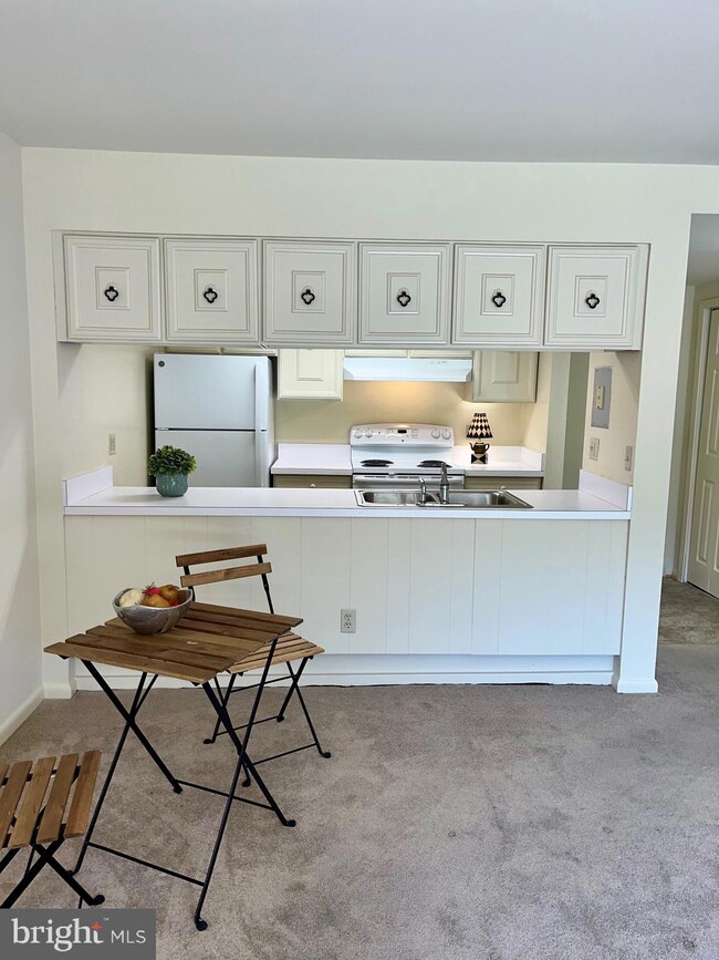 3406 Chiswick Ct unit 471D, Silver Spring, MD 20906 - photo 5