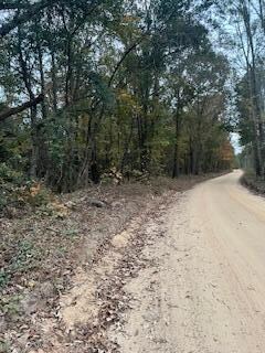 EBH A4-1A Wendell Ln unit EBH A4-1A, Wagener, SC 29164 - photo 2