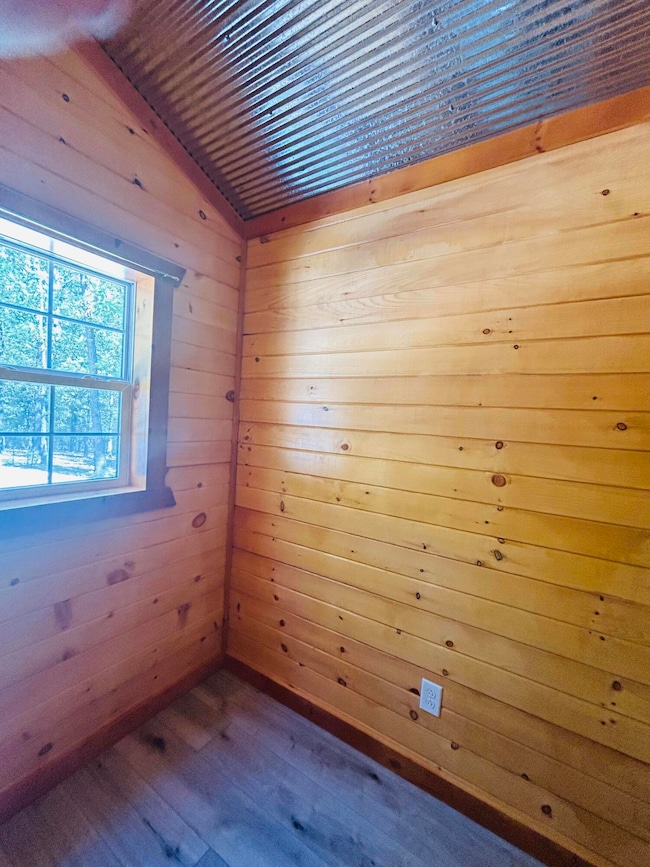 19760 Farm Road 1042, Exeter, MO 65647 - photo 7