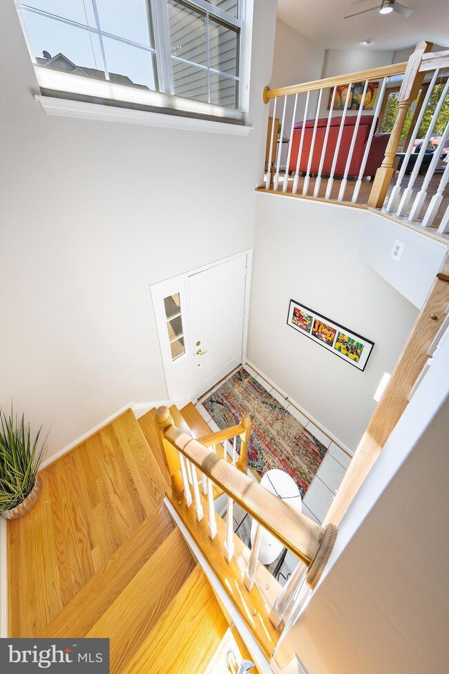 20401 Cool Fern Square, Ashburn, VA 20147 - photo 4