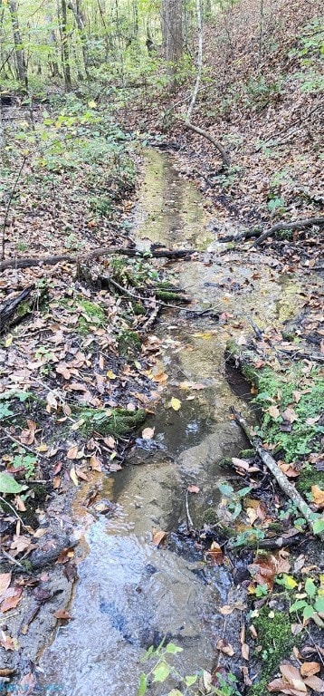 00 Plainview Dr, Saluda, VA 23149 - photo 4