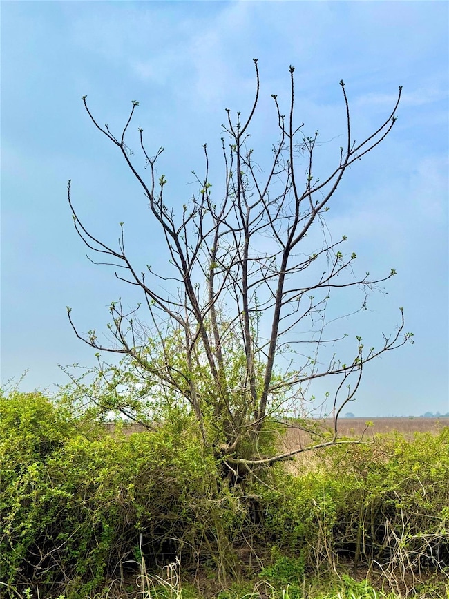 View of undeveloped land