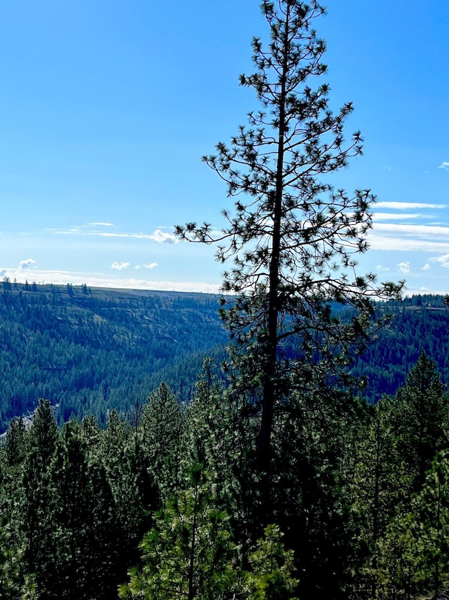 34430 N Partridge Ln N, Davenport, WA 99122 - photo 2