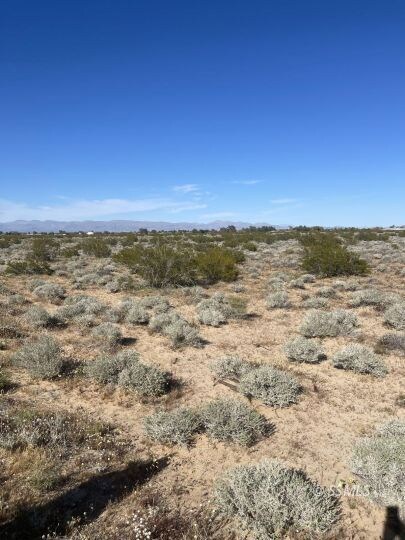 Could be split to 4 ten acres