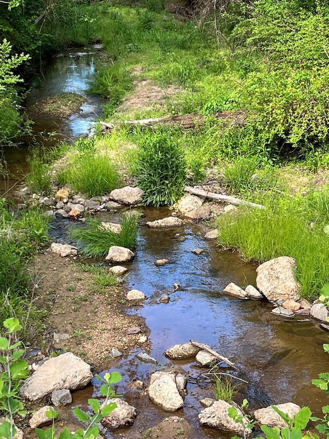 42.9 AC Brandon Rd, Chatham, VA 24531 - photo 7