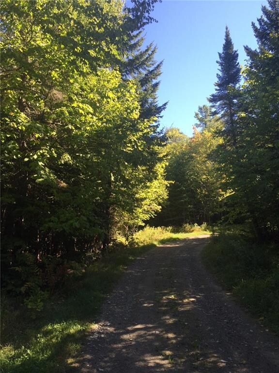 driveway through the plot.
