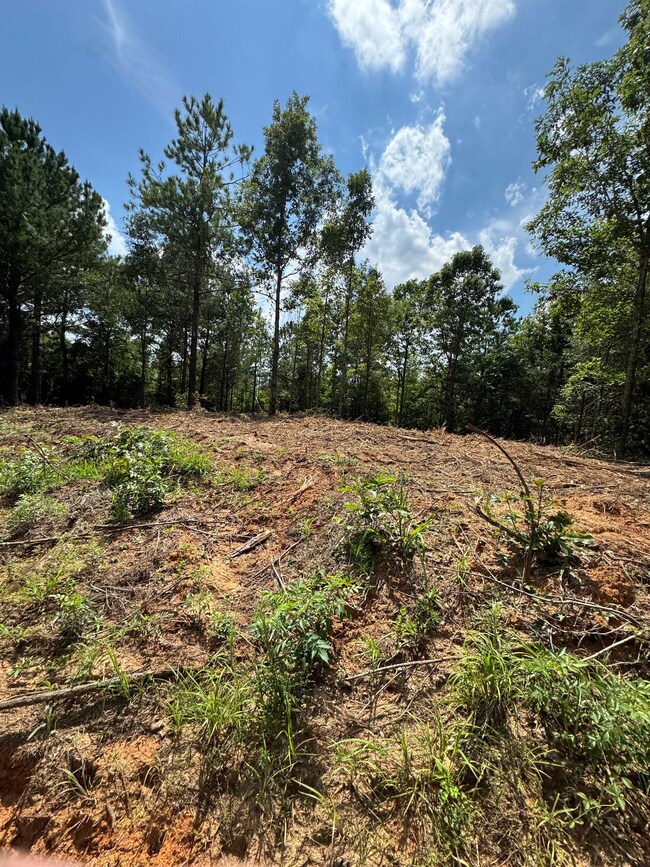 0 Arvada Dr unit 24059220, Northport, AL 35473 - photo 7