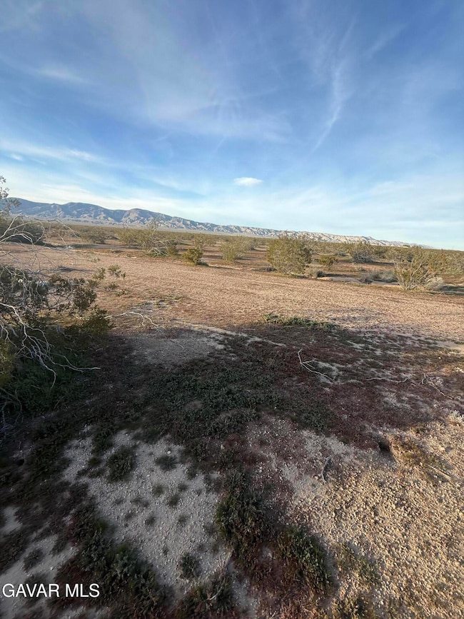 0 Vac 10th and Wonder Ave unit 25009115, Mojave, CA 93501 - photo 3