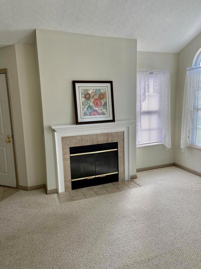 Fireplace 1