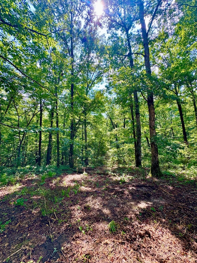 0 Bailey Rd, Double Springs, AL 35553 - photo 5