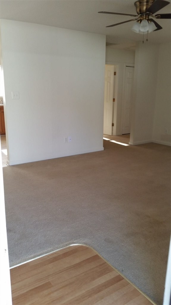 241 Lakewood Dr, Jacksonville, NC 28546 - photo 7