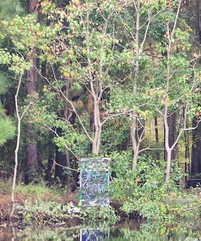 View of local wilderness featuring a water view
