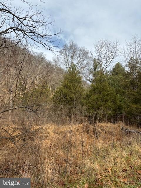 Lot 14 Wildlife Dr, Lost City, WV 26810 - photo 2