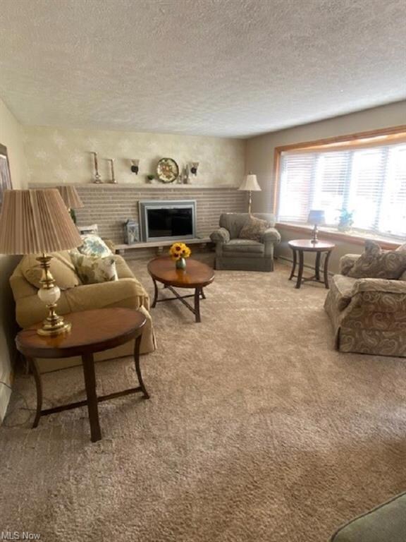 Carpeted living room featuring a fireplace and a t