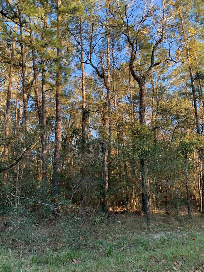 0 Crooked Creek Rd, Hockley, TX 77447 - photo 5