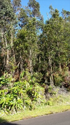 0 2nd St unit 280097, Volcano, HI 96785 - photo 3