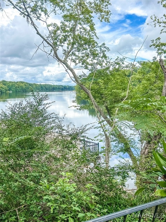 181 Tanglewood Cir, Selma, AL 36701 - photo 2