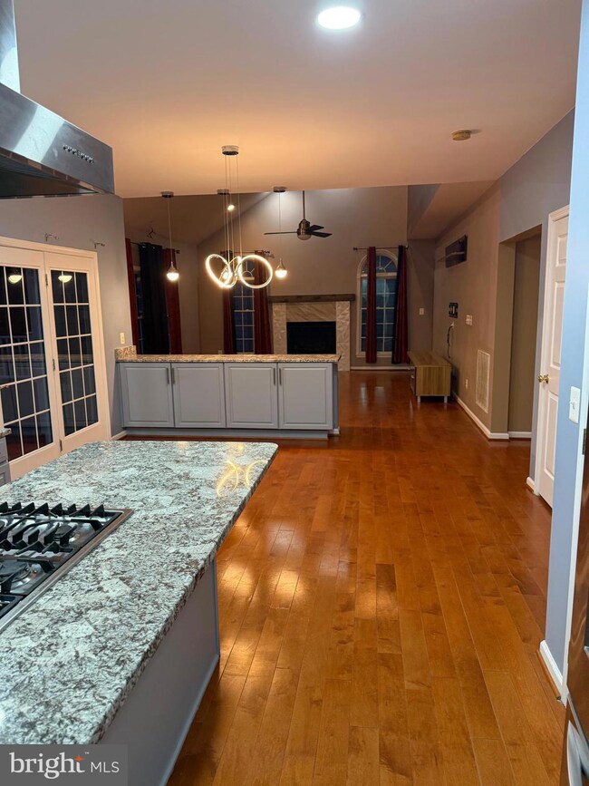 42509 Mandolin St, Chantilly, VA 20152 - photo 4