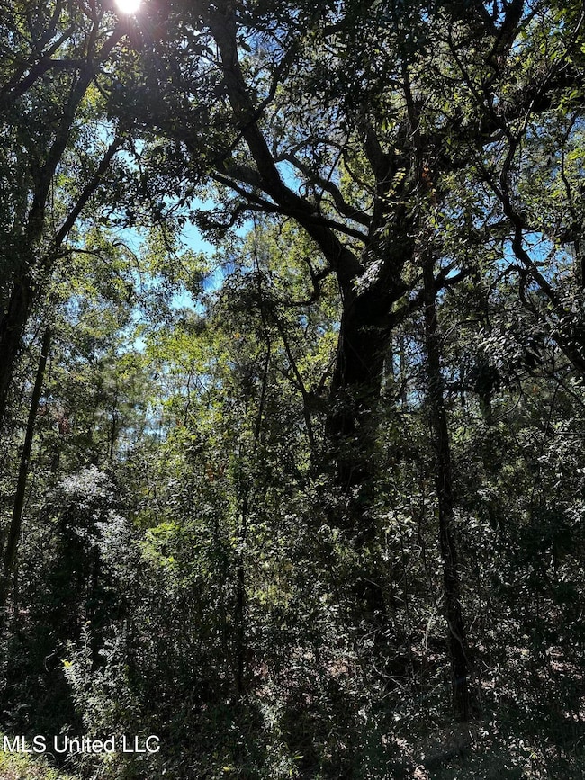 6611 Omaha St, Biloxi, MS 39532 - photo 3