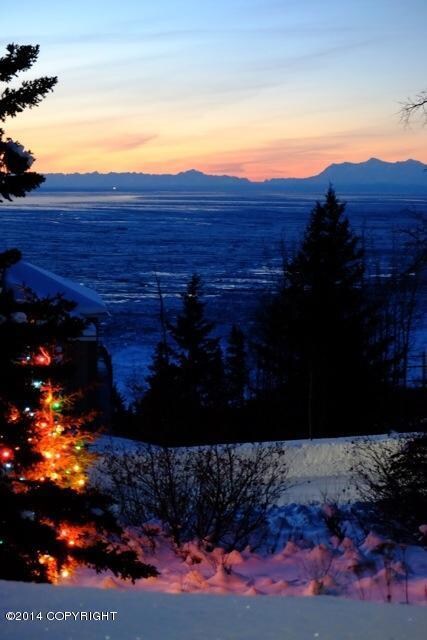 L13 B1 Potter View Cir, Anchorage, AK 99516 - photo 6