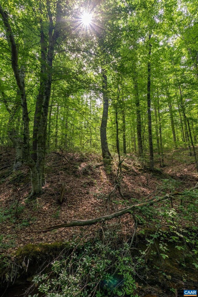 1841 Ed Jones Rd, Scottsville, VA 24590 - photo 2