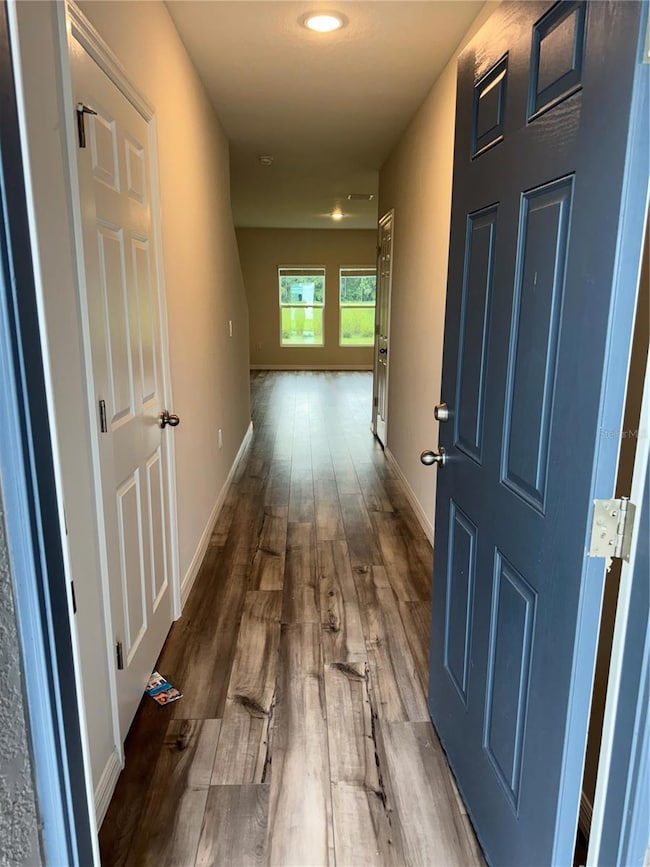 7959 Peace Lily Ave, Wesley Chapel, FL 33545 - photo 2