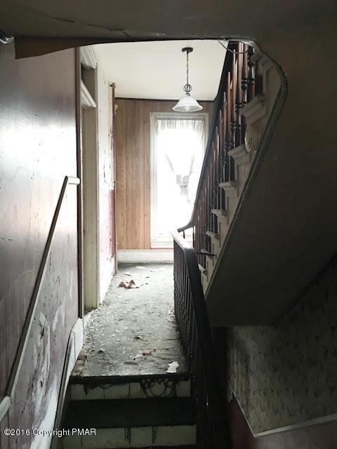 137 Pine St, Tamaqua, PA 18252 - photo 7