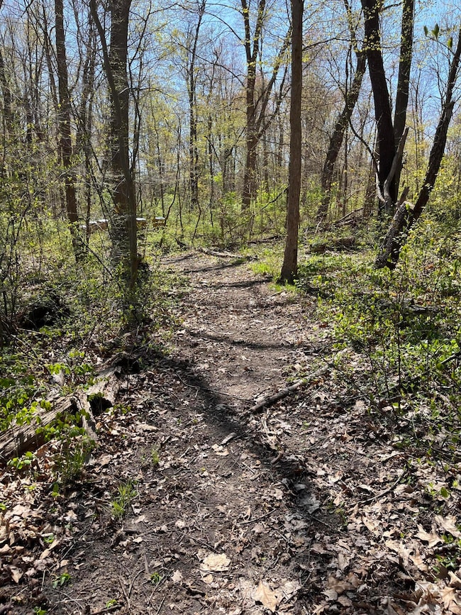 A Path