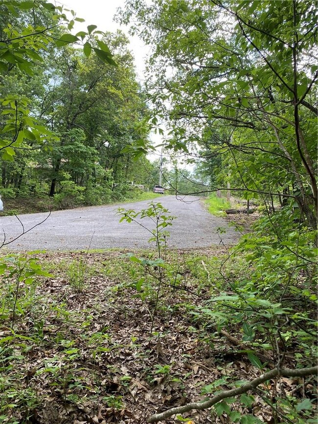 Interior view toward Northampton Dr.