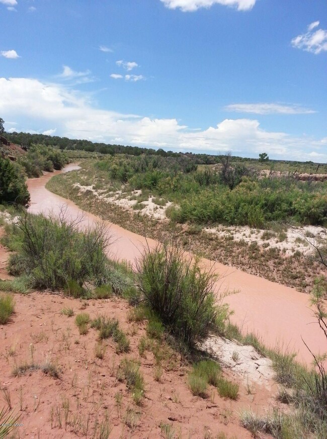 20150709 Little CO river running north o
