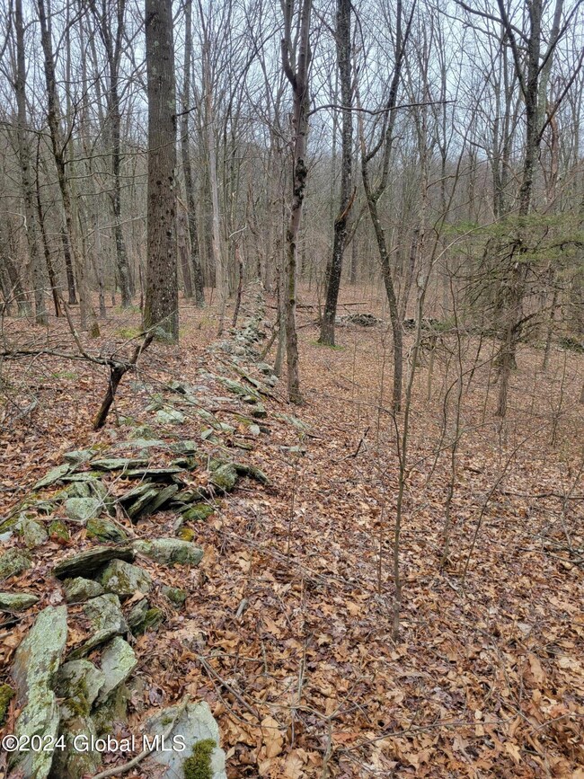 0 Post Hill Rd unit 202415587, Taghkanic, NY 12521 - photo 7