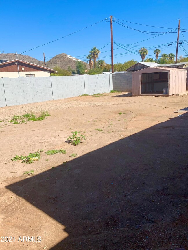 Backyard
