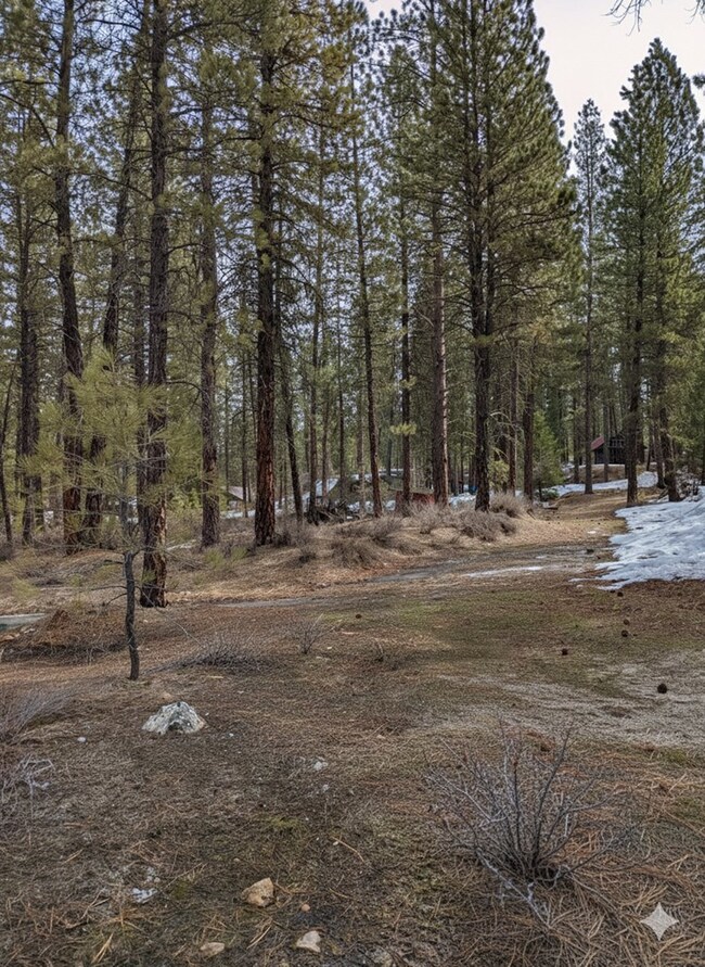 14/15 View Dr unit 14 & 15, Centerville, ID 83631 - photo 2