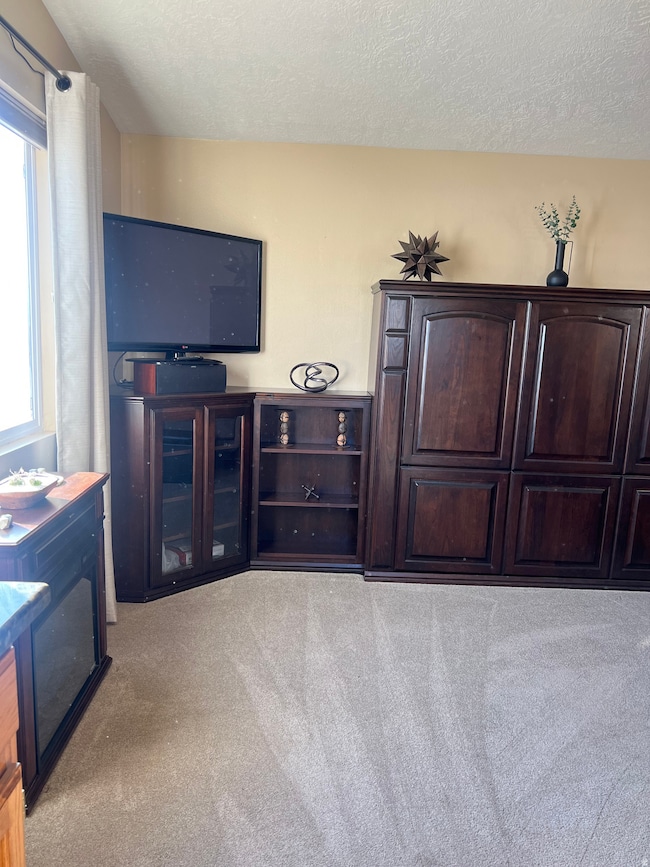 Living area featuring light carpet and a textured ceiling