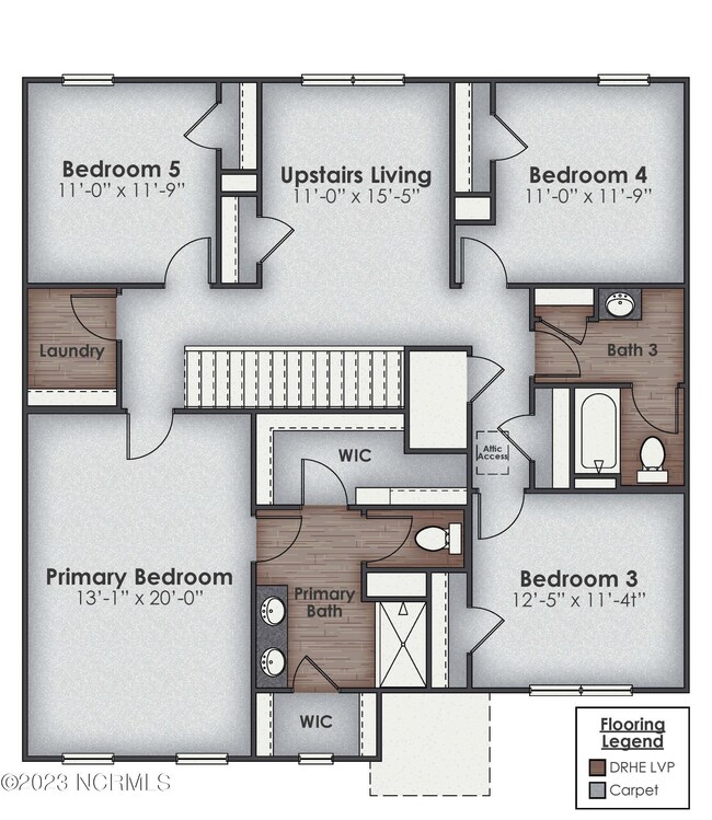 hayden-A-DRHE-fp2base
