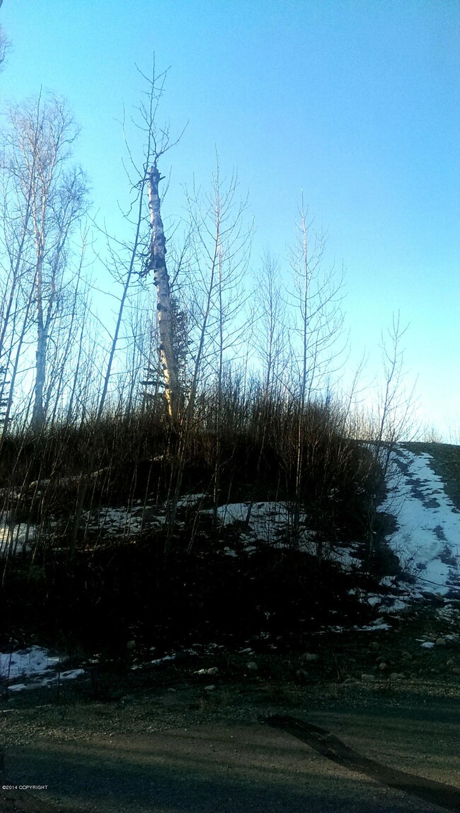IMAG0598_1