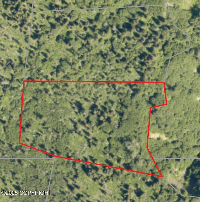 82-215 Alaska State Land Survey, Homer, AK 99603 - photo 4