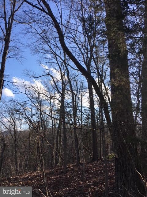 0 Gafia Lodge Rd unit 1000343272, Middletown, VA 22645 - photo 4