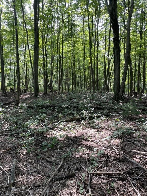 0 Ohio 45, Wellsville, OH 43968 - photo 2