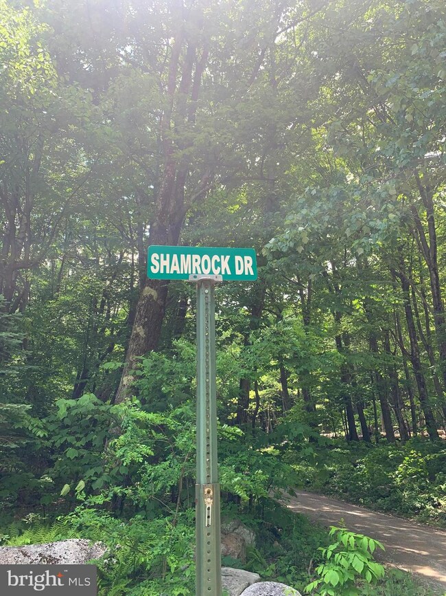 0 Wilderness Dr unit WVGT103492, Cabins, WV 26855 - photo 3