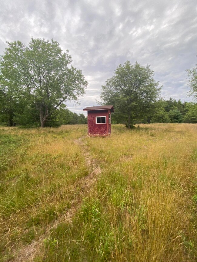 Hunting Blind