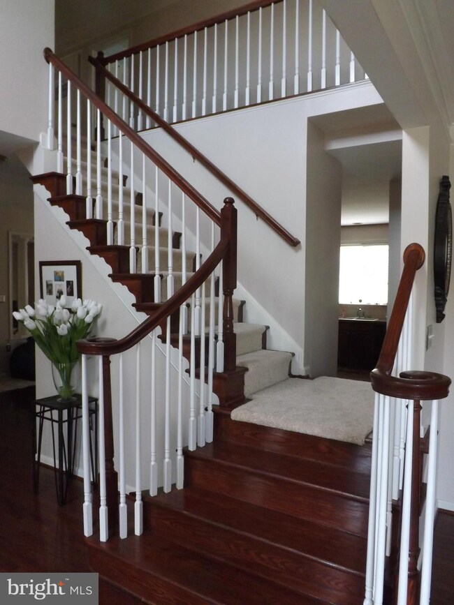 1945 Melvor Ln, Winchester, VA 22601 - photo 4