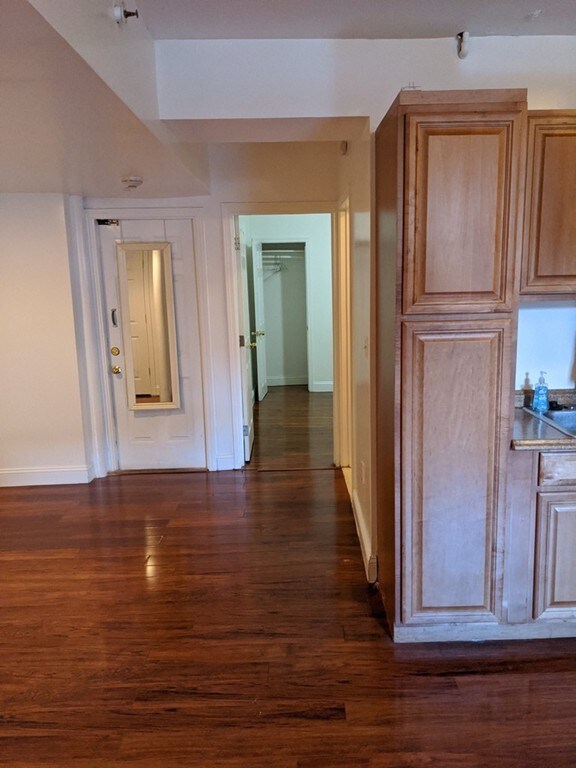 46 W Newton St unit B, Boston, MA 02118 - photo 5