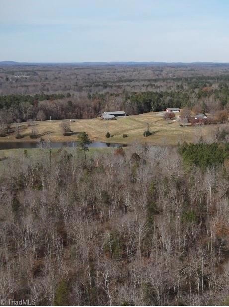 0 Flat Creek Rd, Bennett, NC 27208 - photo 2