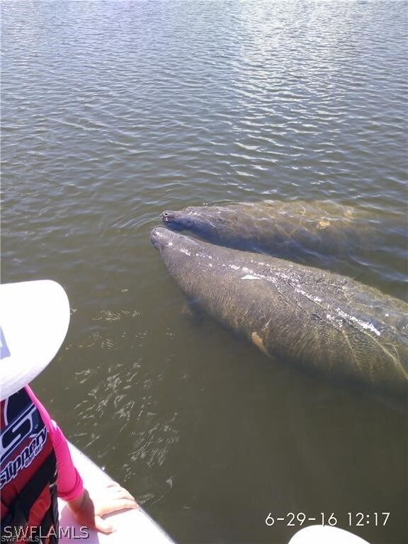 5210 Genesee Pkwy, Bokeelia, FL 33922 - photo 4