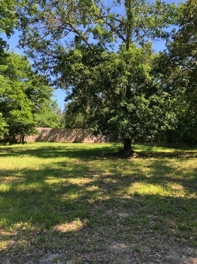 15 Lily Cove, Huntsville, TX 77340 - photo 4