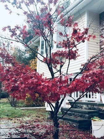 25 Glenridge Dr unit 1, Bedford, MA 01730 - photo 2