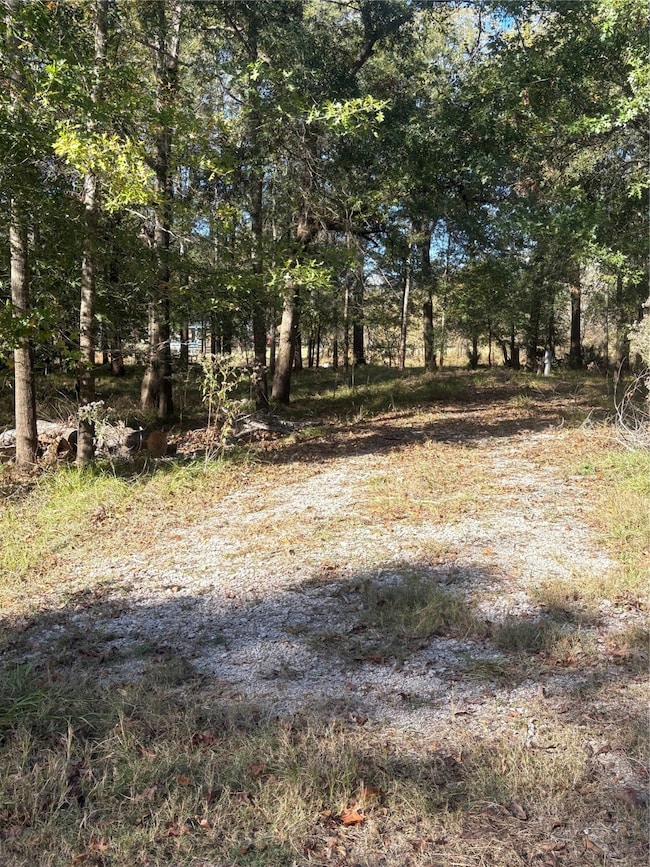 195 Center St, Cleveland, TX 77327 - photo 3